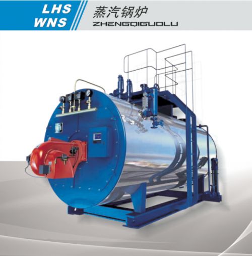 天燃?xì)忮仩t廠